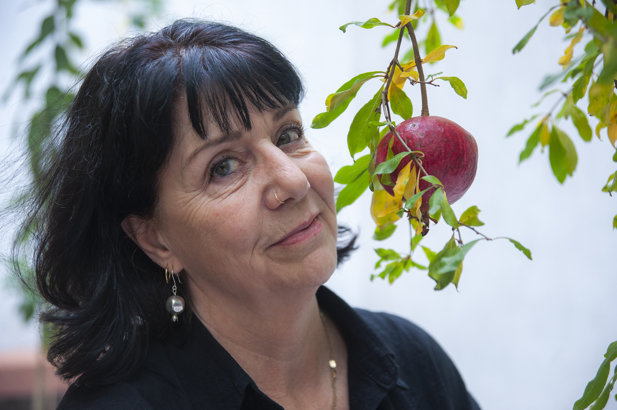 Köklere Yolculuk: İpliklerin izinde, geçmişin peşinde